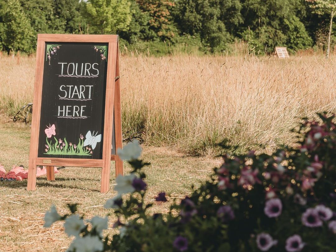 Ground Control Green Gains Live