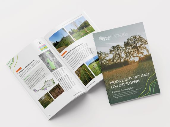 Outstanding graphic design in Essex