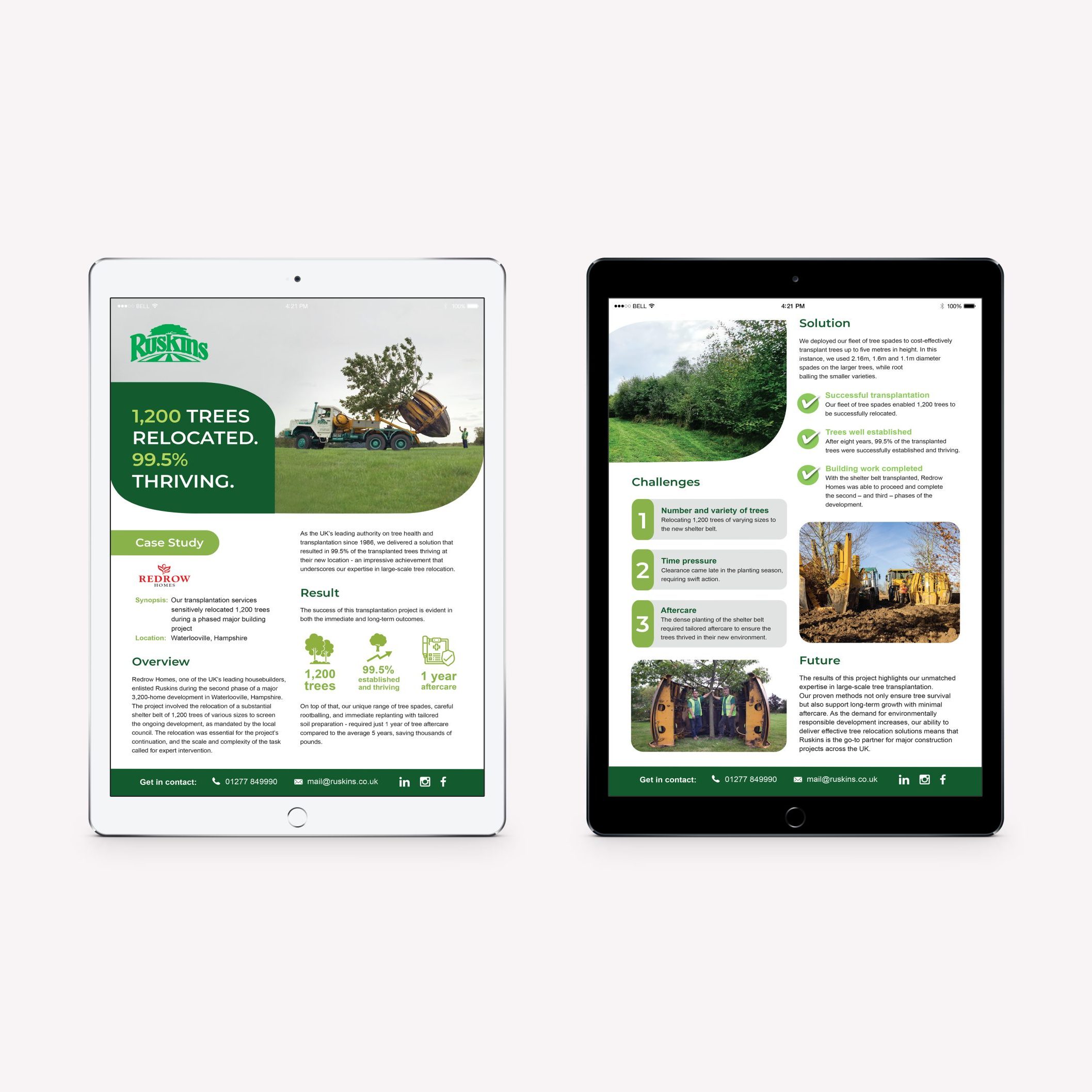 Ruskins Redrow Tree Transplanting