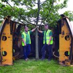 Ruskins Tree Transplanting
