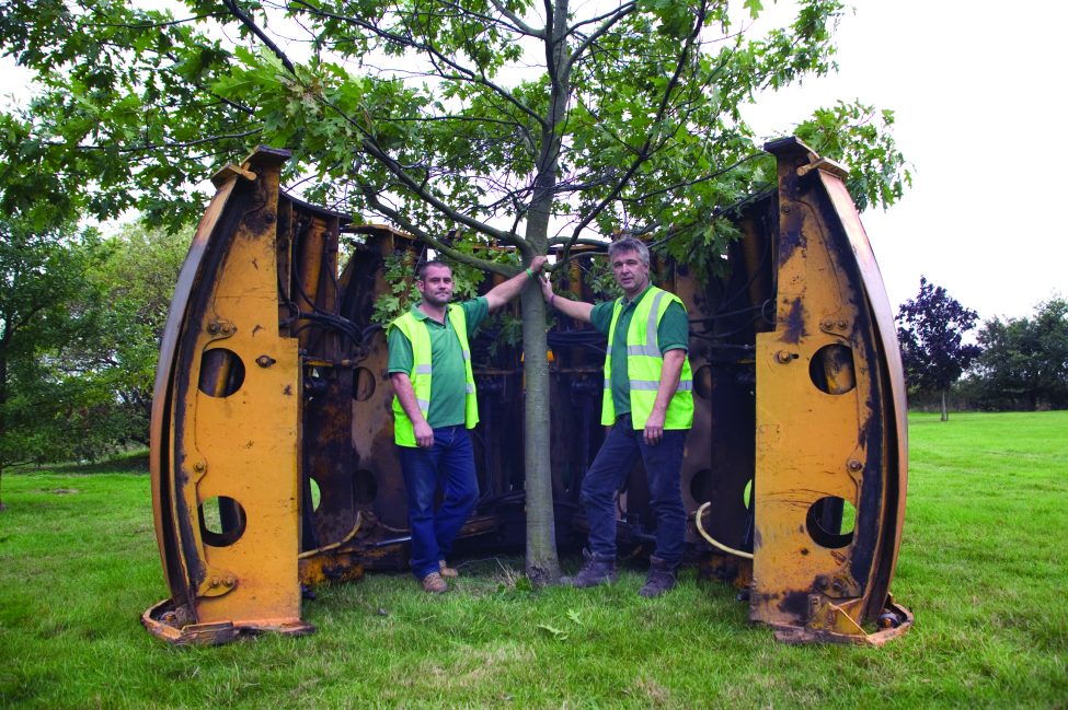 Ruskins Tree Transplanting